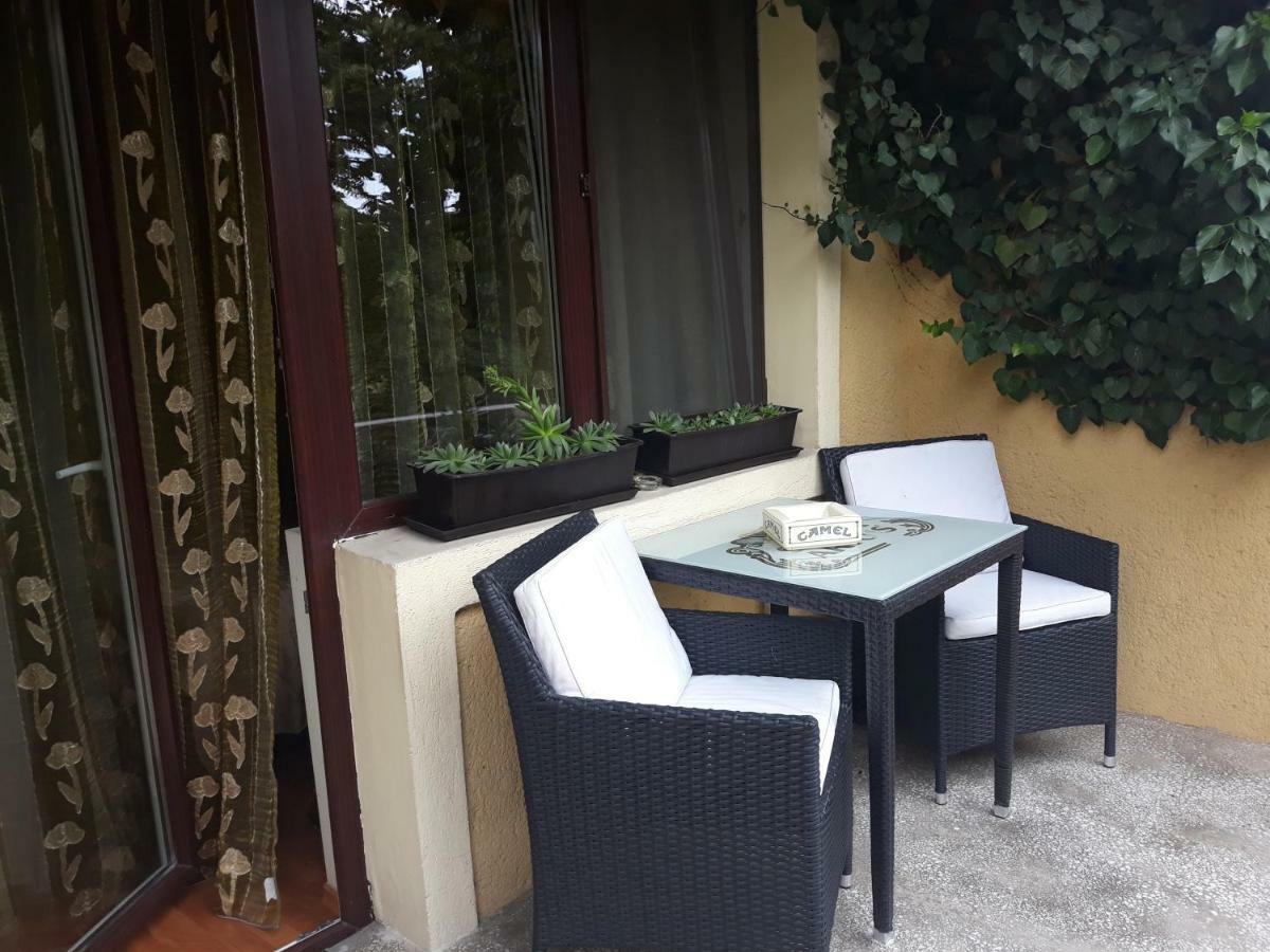 Pensiunea Sydney Timisoara Exterior photo